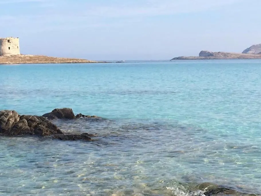 Stintino, Casa In Riva Alla Spiaggia איטליה